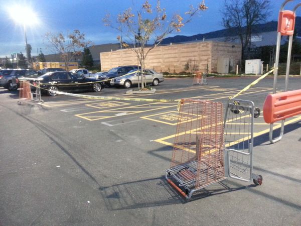 Carts_2013-01-22 17.30.49