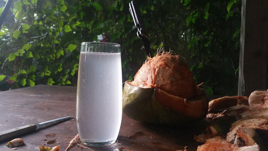 coconut